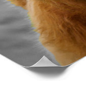 Highland Cow Schottland Rustikal Schwarz-weiß Poster (Ecke)