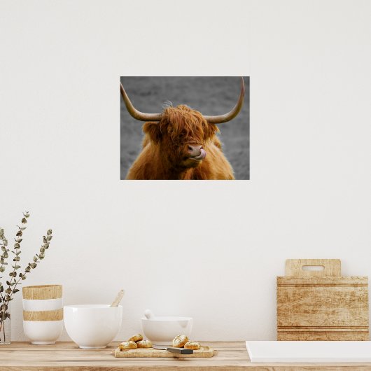 Highland Cow Schottland Rustikal Schwarz-weiß Poster (Küche)