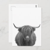 Highland Cow Schottland Rustikal Schwarz-weiß Postkarte (Vorne/Hinten)