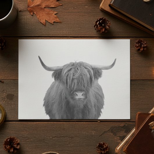 Highland Cow Schottland Rustikal Schwarz-weiß Seidenpapier