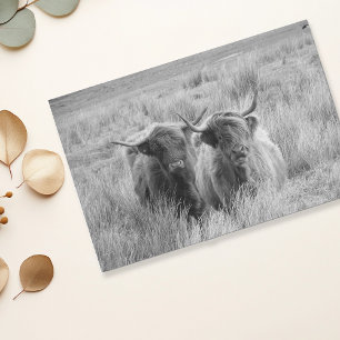 Highland Cow Schottland Rustikal Schwarz Weiß Tasc Seidenpapier