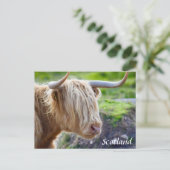 Highland Cow Scotland Postcard Postkarte (Stehend Vorderseite)