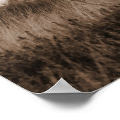 Highland Cow Scotland Rustic Brown Monoton Post Poster (Ecke)