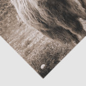 Highland Cow Scotland Rustic Brown Monoton Seidenpapier (Ausschnitt)