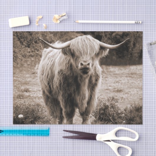 Highland Cow Scotland Rustic Brown Monoton Seidenpapier (Handwerk)