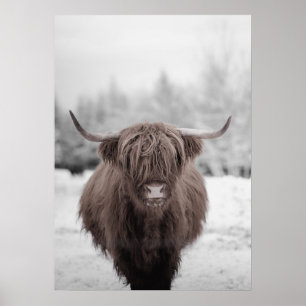 Highland Cow Scotland Rustic Farm Poster