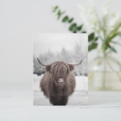 Highland Cow Scotland Rustic Farm Postkarte (Stehend Vorderseite)