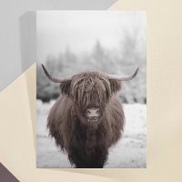 Highland Cow Scotland Rustic Farm