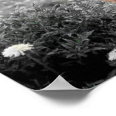 Highland Cow Scotland Rustic Poster Schwarz-weiß (Ecke)