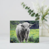 Highland Cow Scotland Rustic Postkarte (Stehend Vorderseite)