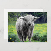 Highland Cow Scotland Rustic Postkarte (Vorne/Hinten)