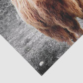 Highland Cow Scotland Rustic Seidenpapier (Ausschnitt)
