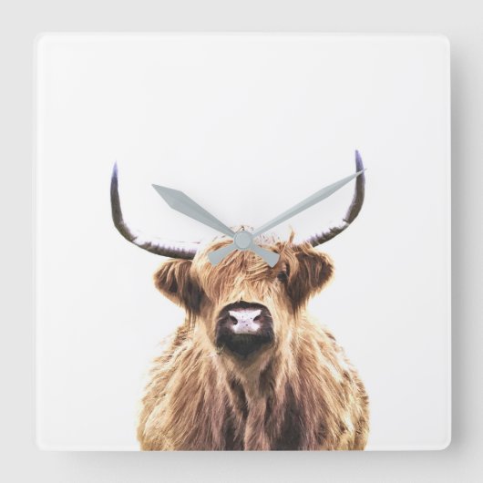 Highland cow scottish animal portrait quadratische wanduhr (Vorderseite)