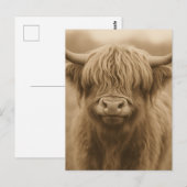 Highland Cow Sepia Portrait Postkarte (Vorne/Hinten)