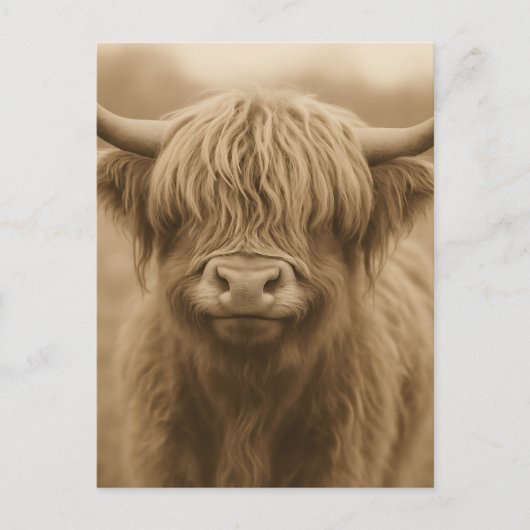 Highland Cow Sepia Portrait Postkarte (Vorderseite)