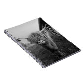 Highland Cow Spiral Notebook Notizblock (Rechte Seite)