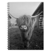 Highland Cow Spiral Notebook Notizblock (Vorderseite)
