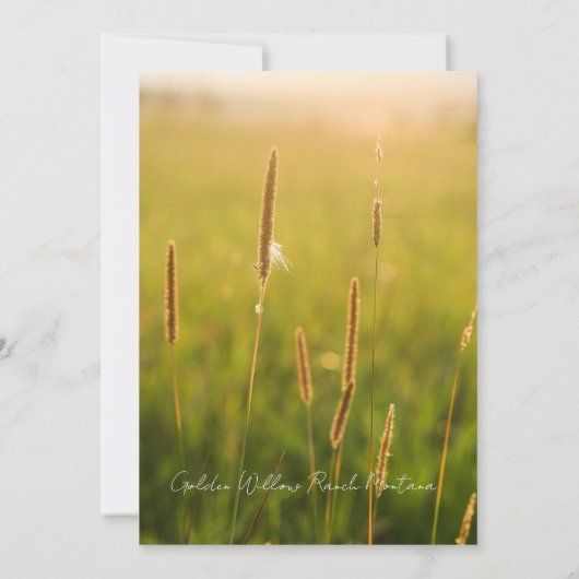 Highland Cow Thank You Card Dankeskarte (Rückseite)