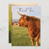 Highland Cow Thank You Card Dankeskarte (Vorne/Hinten)