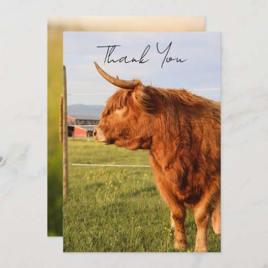 Highland Cow Thank You Card Dankeskarte (Vorne/Hinten)