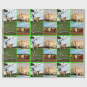 Highland Cow Three Picture Collage, Geschenkpapier (Flach)