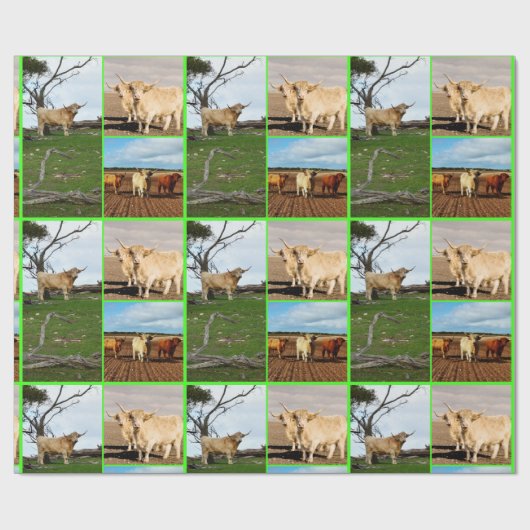 Highland Cow Three Picture Collage, Geschenkpapier (Flach)