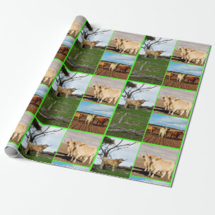 Highland Cow Three Picture Collage, Geschenkpapier