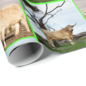 Highland Cow Three Picture Collage, Geschenkpapier (Rolleneckpunkt)