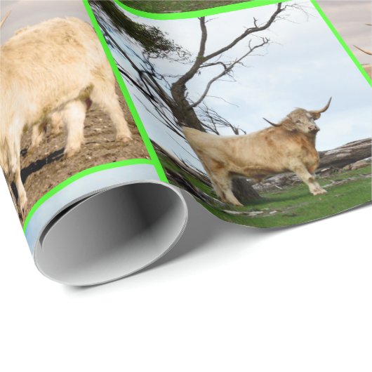 Highland Cow Three Picture Collage, Geschenkpapier (Rolleneckpunkt)