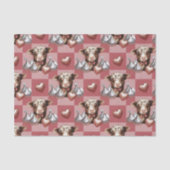 Highland Cow Valentine Heart Chocolate  Seidenpapier (Vorderseite)