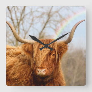 Highland cow wall clock quadratische wanduhr