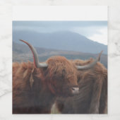Highland Cow Weinetikett (Einzelnes Label)