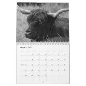 Highland Cows 2025 Calendar Kalender (Mär 2027)