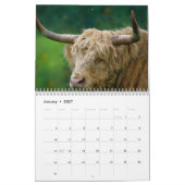 Highland Cows 2025 Calendar Kalender (Jan 2027)