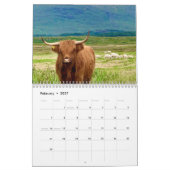 Highland Cows 2025 Calendar Kalender (Feb 2027)