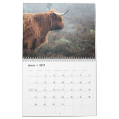 Highland Cows 2025 Calendar Kalender (Mär 2027)
