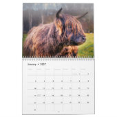 Highland Cows 2025 Calendar Kalender (Jan 2027)