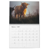 Highland Cows 2025 Calendar Kalender (Feb 2027)