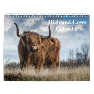 Highland Cows 2025 Calendar Kalender