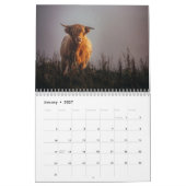Highland Cows 2025 Calendar Kalender (Jan 2027)