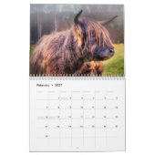 Highland Cows 2025 Calendar Kalender (Feb 2027)