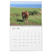 Highland Cows 2026 Calendar Kalender (Mär 2027)