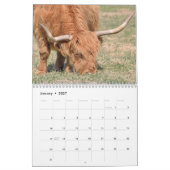 Highland Cows 2026 Calendar Kalender (Jan 2027)