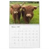 Highland Cows 2026 Calendar Kalender (Feb 2027)