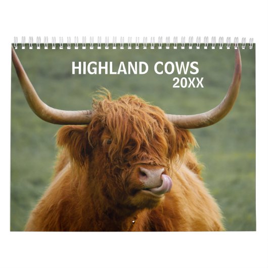 Highland Cows Farm Animal Schottland Kalender (Titelbild)