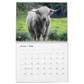 Highland Cows Farm Animal Schottland Kalender (Jan 2026)