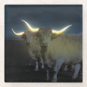 Highland Cows Glowing In The Dark, Glass Coaster Glasuntersetzer (Vorderseite)