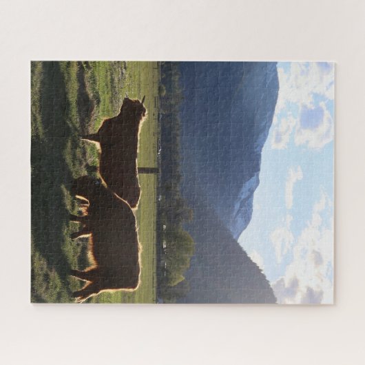 Highland Cows in Montana Puzzle (Horizontal)