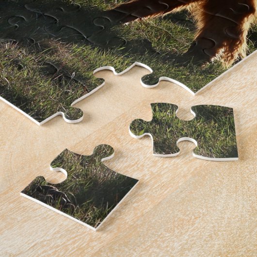 Highland Cows in Montana Puzzle (Seite)