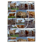 Highland Glory: Ein FotoCollage majestätischer Küh Mittlere Geschenktüte (Rückseite)